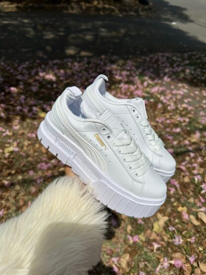PUMA DAMA - Imagen 3