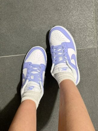 NIKE SB LILA